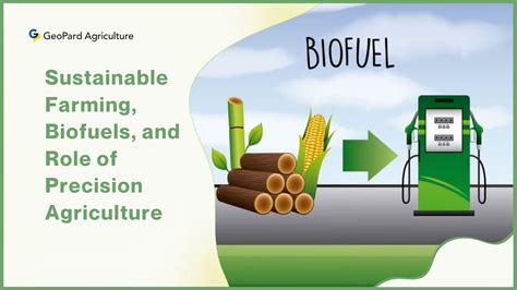 Biofuels .